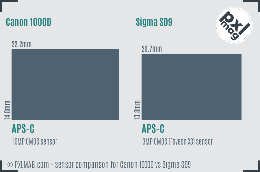 Canon 1000D vs Sigma SD9 sensor size comparison