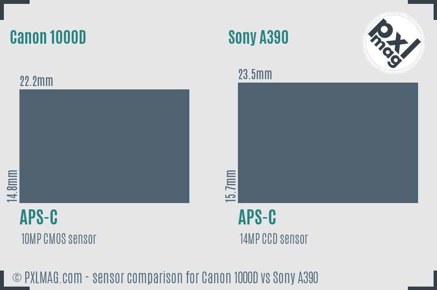 Canon 1000D vs Sony A390 sensor size comparison