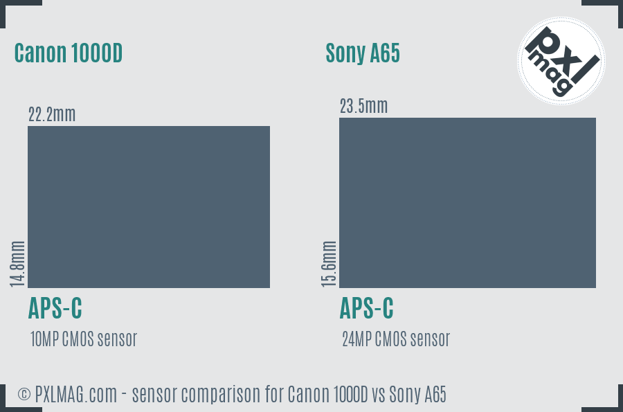 Canon 1000D vs Sony A65 sensor size comparison