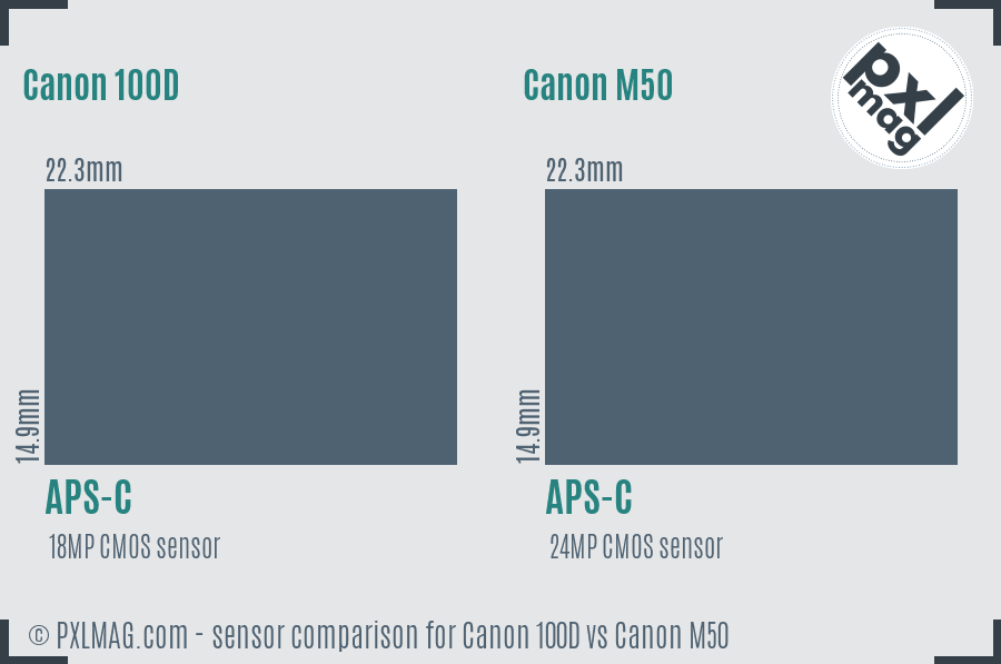 Canon 100D vs Canon M50 sensor size comparison