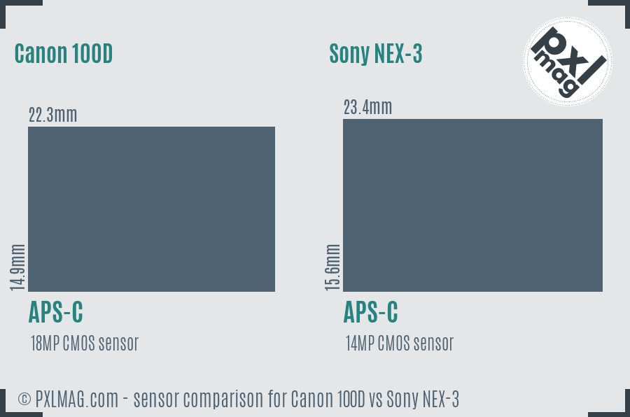 Canon 100D vs Sony NEX-3 sensor size comparison