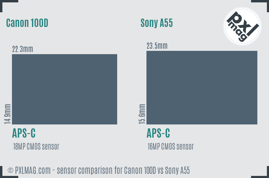 Canon 100D vs Sony A55 sensor size comparison