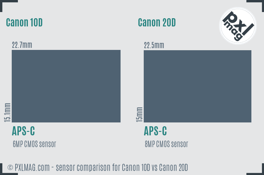 Canon 10D vs Canon 20D sensor size comparison