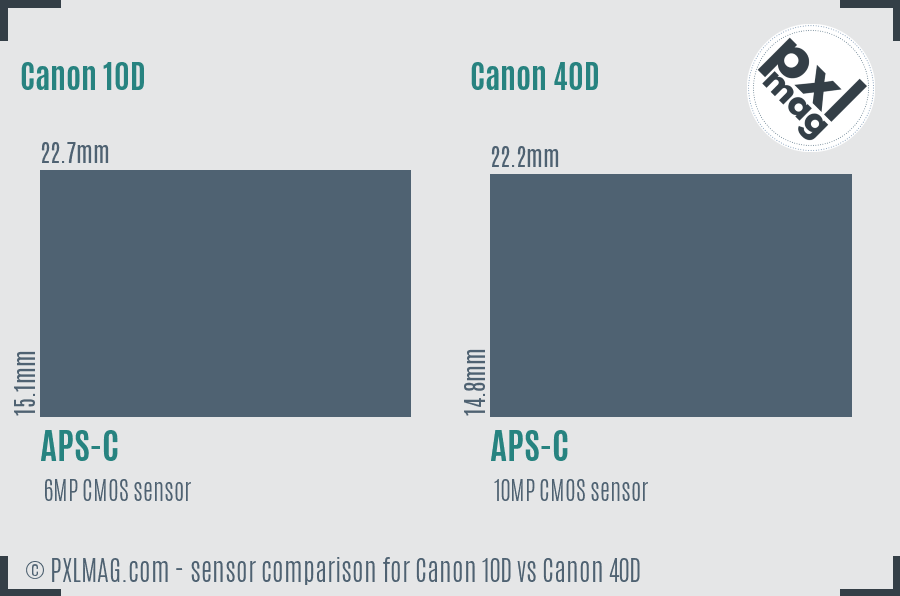 Canon 10D vs Canon 40D sensor size comparison