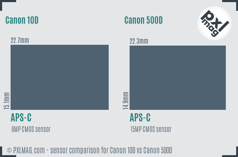 Canon 10D vs Canon 500D sensor size comparison