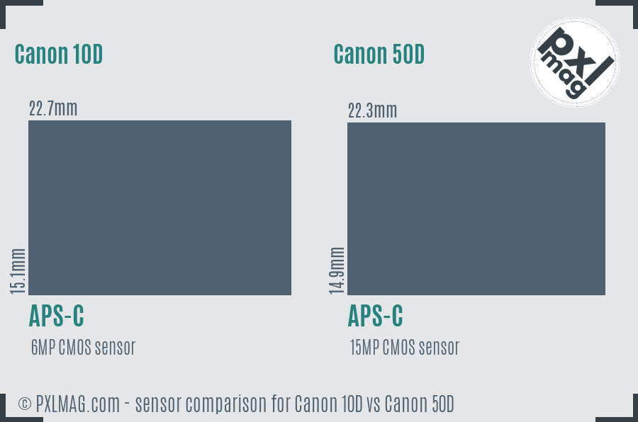 Canon 10D vs Canon 50D sensor size comparison
