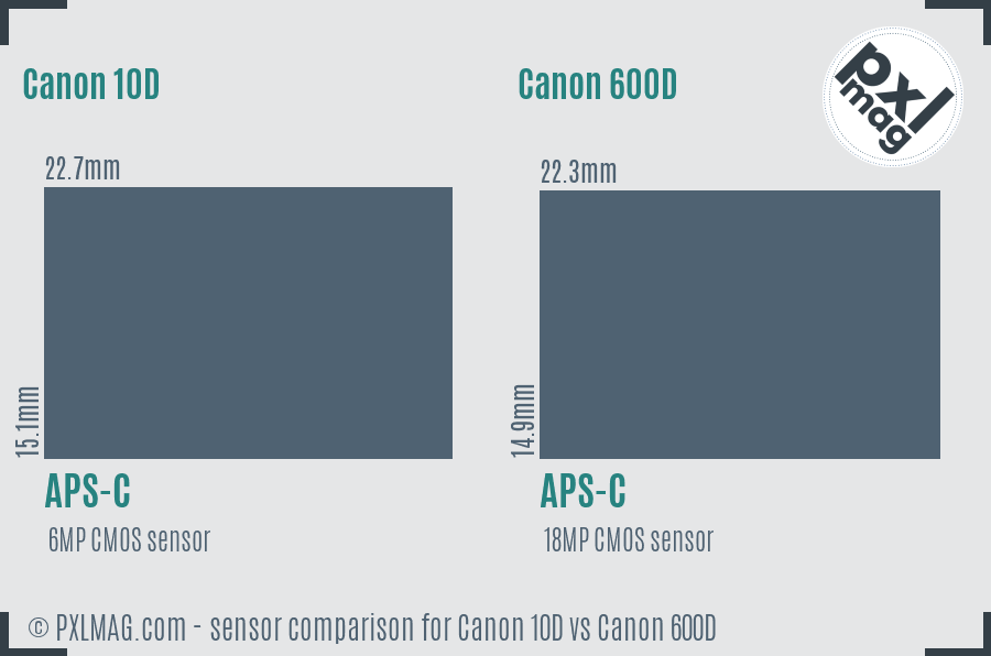 Canon 10D vs Canon 600D sensor size comparison