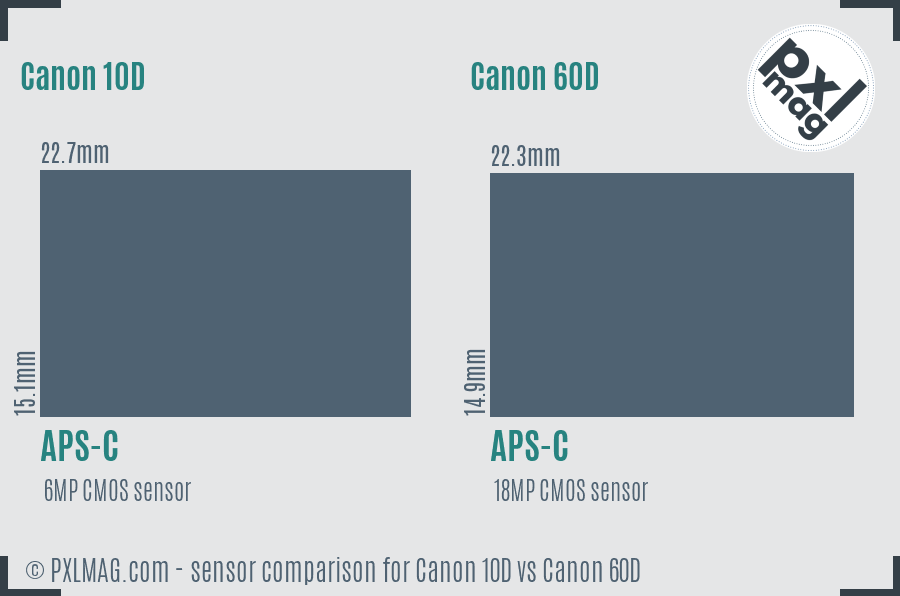 Canon 10D vs Canon 60D sensor size comparison