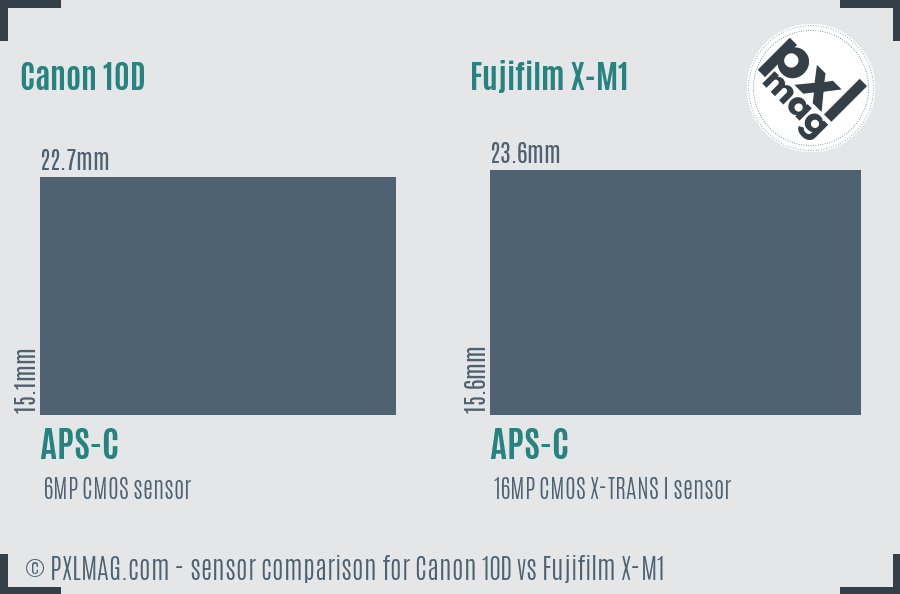 Canon 10D vs Fujifilm X-M1 sensor size comparison
