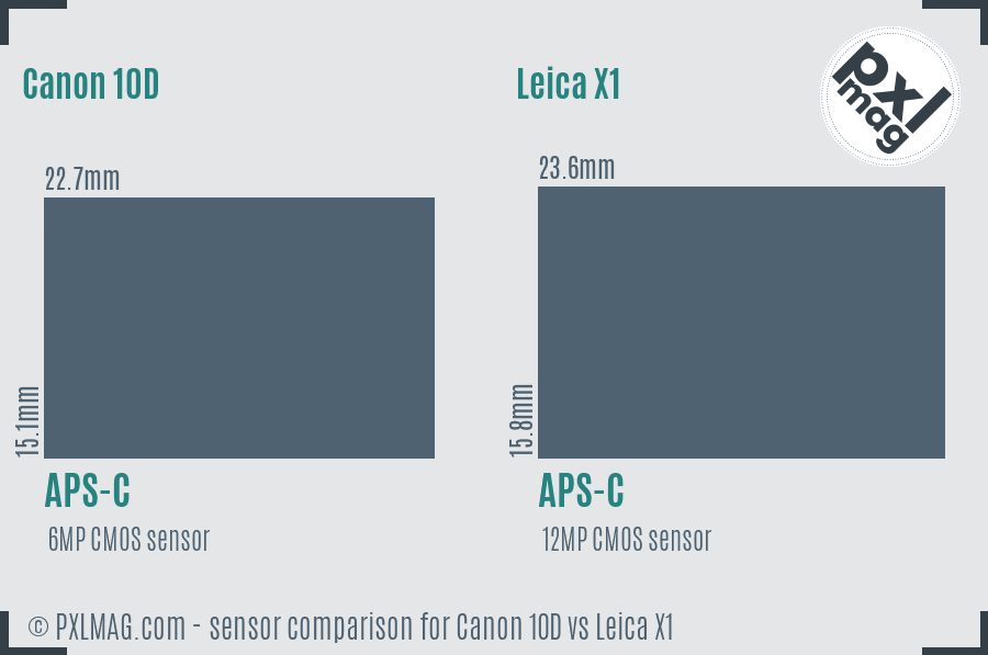 Canon 10D vs Leica X1 sensor size comparison