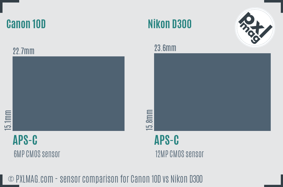 Canon 10D vs Nikon D300 sensor size comparison