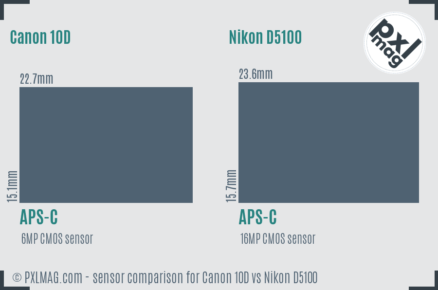 Canon 10D vs Nikon D5100 sensor size comparison