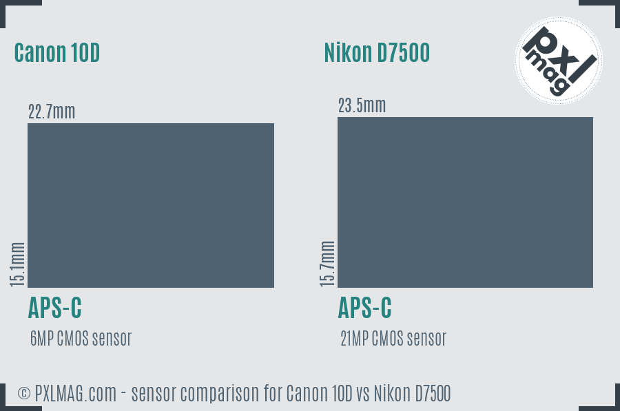 Canon 10D vs Nikon D7500 sensor size comparison