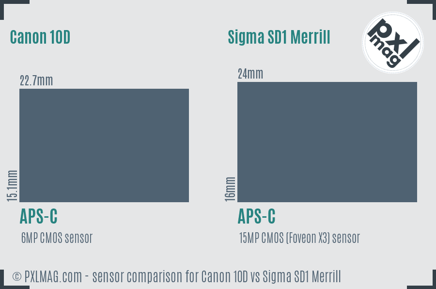 Canon 10D vs Sigma SD1 Merrill sensor size comparison