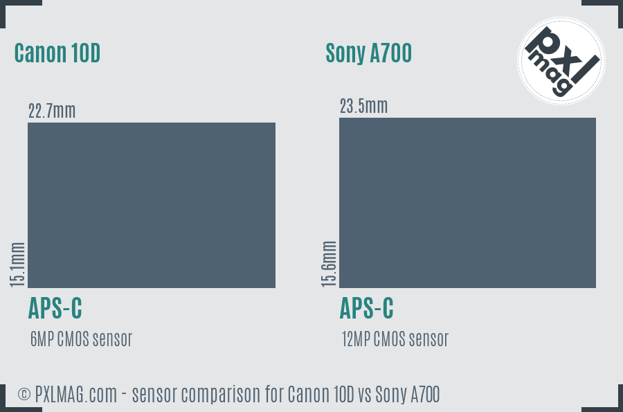 Canon 10D vs Sony A700 sensor size comparison