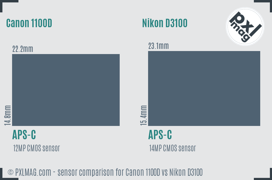 Canon 1100D vs Nikon D3100 sensor size comparison