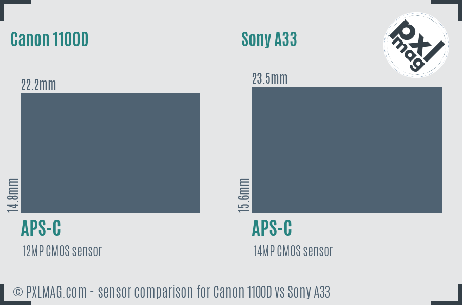 Canon 1100D vs Sony A33 sensor size comparison