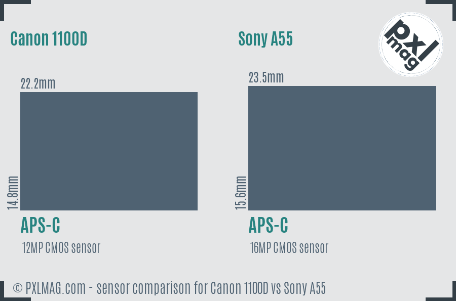 Canon 1100D vs Sony A55 sensor size comparison