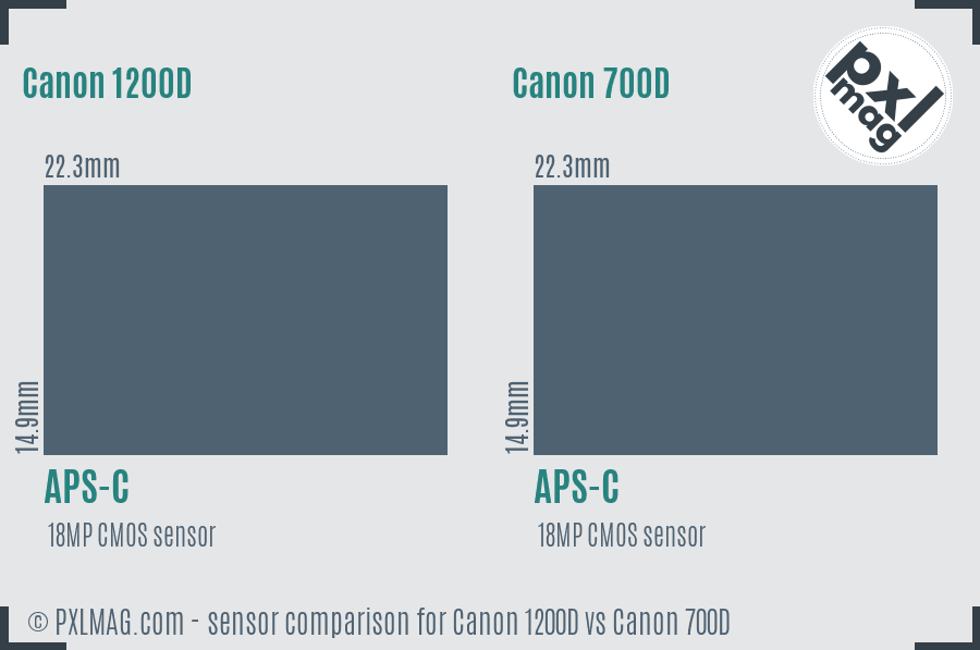 Canon 1200D vs Canon 700D sensor size comparison