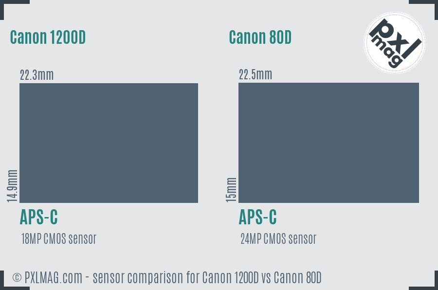 Canon 1200D vs Canon 80D sensor size comparison
