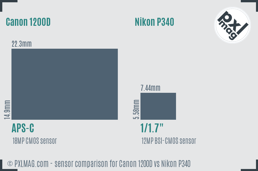 Canon 1200D vs Nikon P340 sensor size comparison