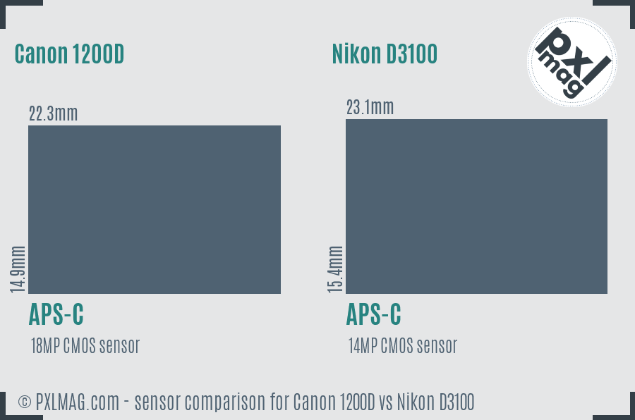 Canon 1200D vs Nikon D3100 sensor size comparison