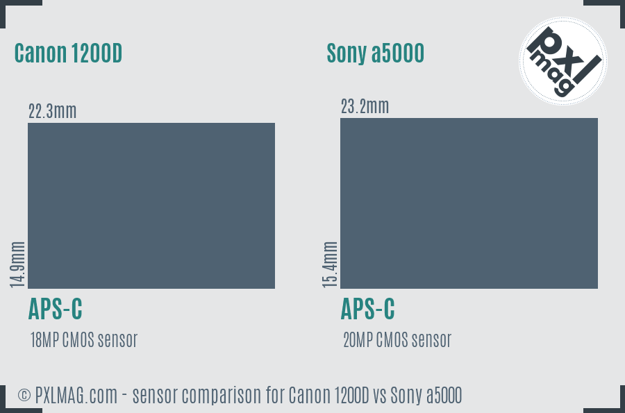 Canon 1200D vs Sony a5000 sensor size comparison Canon 1200D vs Sony a5000 sensor size comparison
