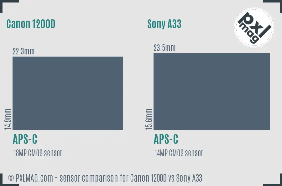 Canon 1200D vs Sony A33 sensor size comparison