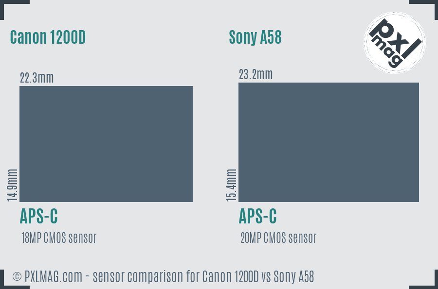 Canon 1200D vs Sony A58 sensor size comparison