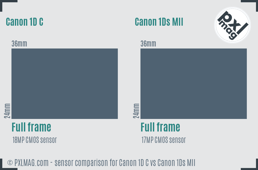 Canon 1D C vs Canon 1Ds MII sensor size comparison