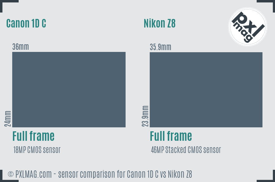 Canon 1D C vs Nikon Z8 sensor size comparison