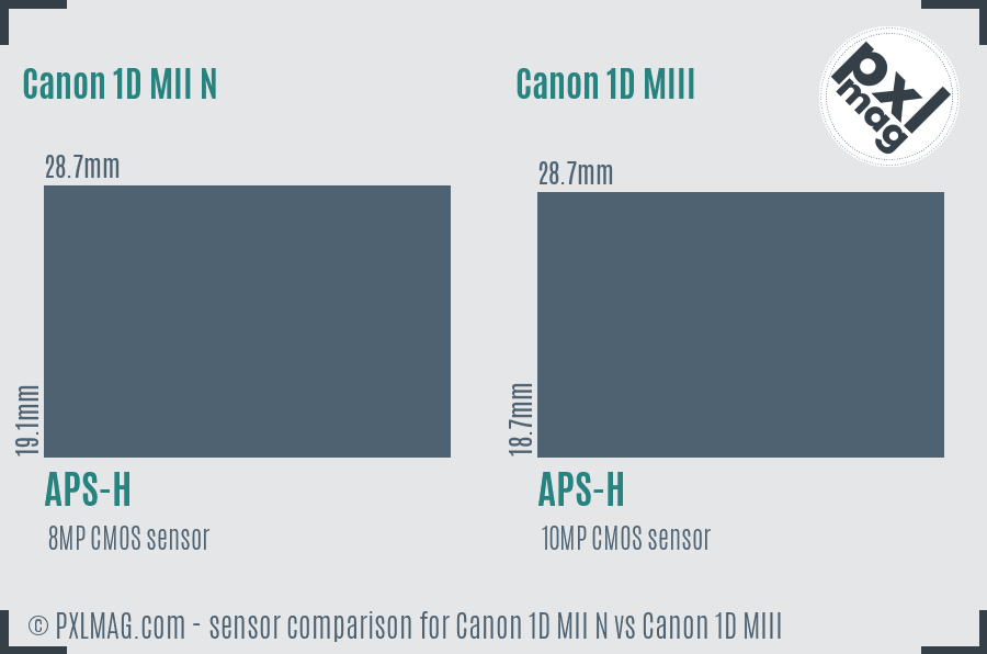 Canon 1D MII N vs Canon 1D MIII sensor size comparison