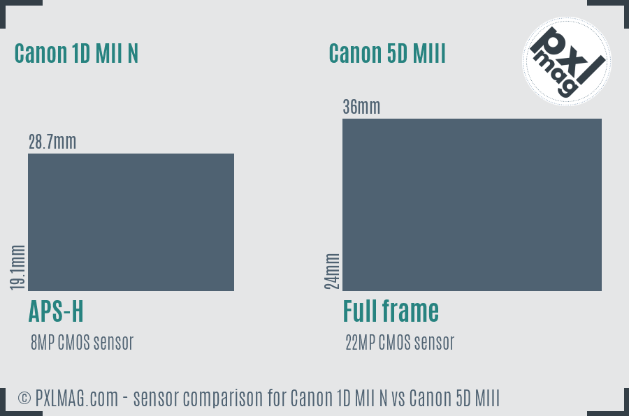 Canon 1D MII N vs Canon 5D MIII sensor size comparison Canon 1D MII N vs Canon 5D MIII sensor size comparison