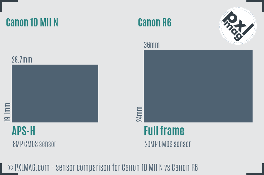 Canon 1D MII N vs Canon R6 sensor size comparison