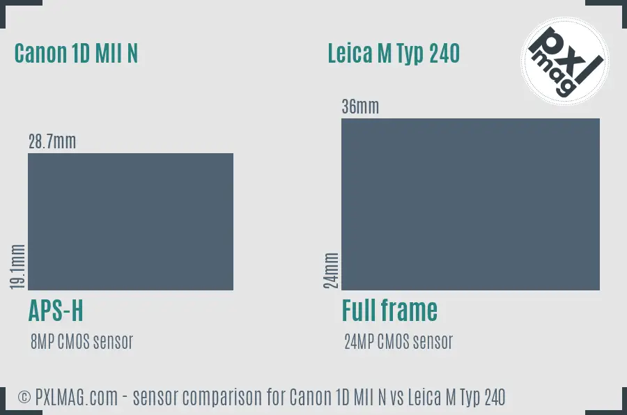Canon 1D MII N vs Leica M Typ 240 sensor size comparison
