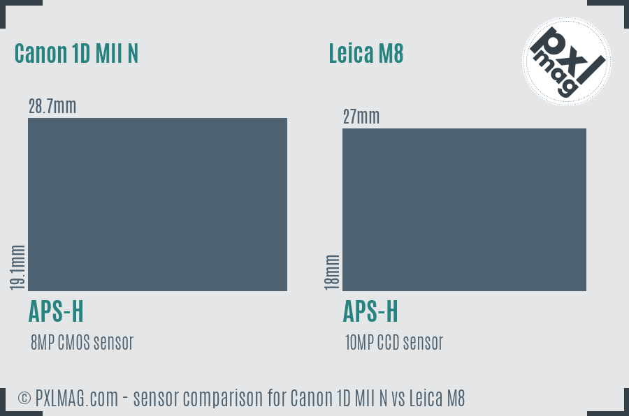 Canon 1D MII N vs Leica M8 sensor size comparison Canon 1D MII N vs Leica M8 sensor size comparison