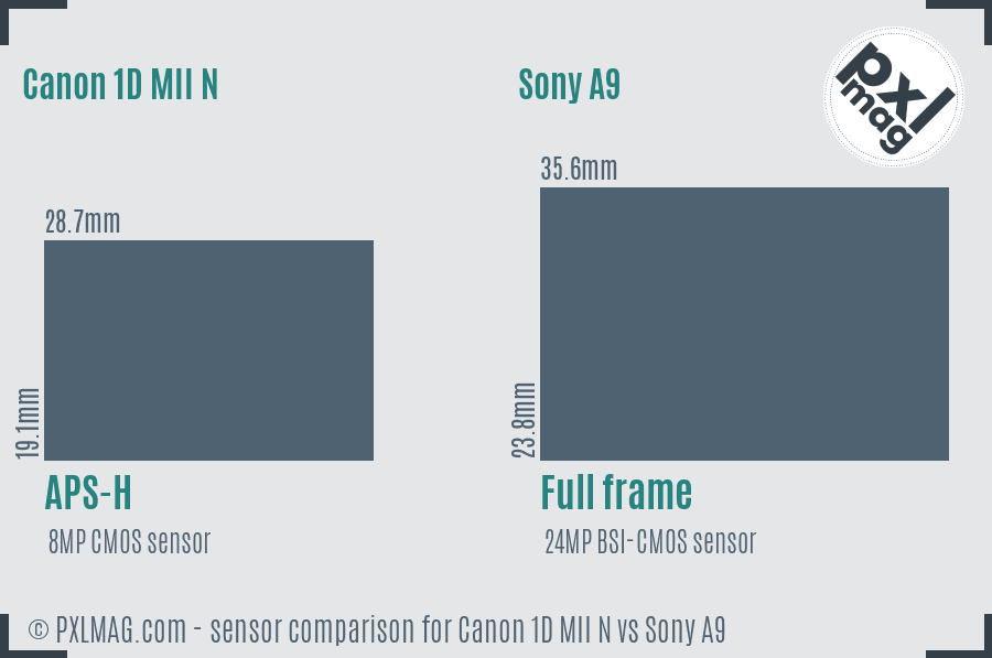 Canon 1D MII N vs Sony A9 sensor size comparison