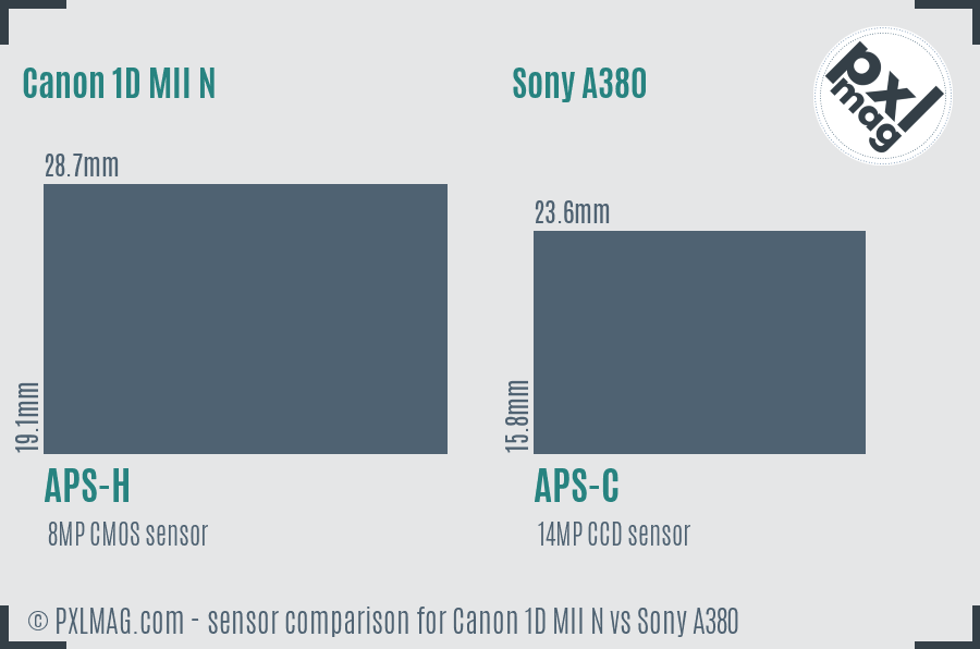Canon 1D MII N vs Sony A380 sensor size comparison