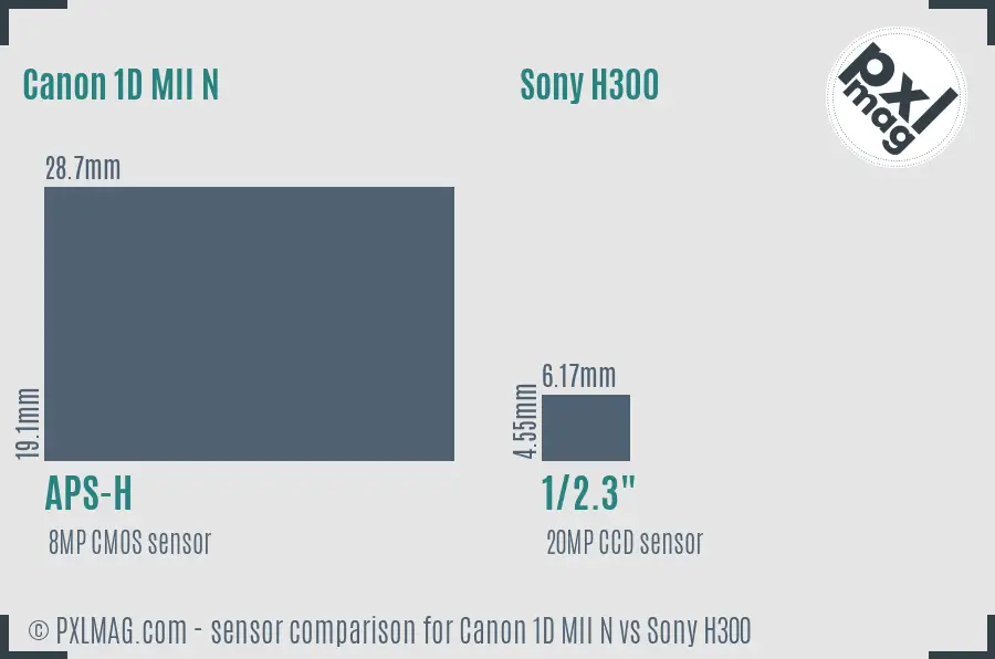 Canon 1D MII N vs Sony H300 sensor size comparison