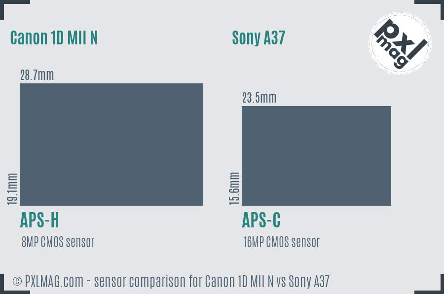 Canon 1D MII N vs Sony A37 sensor size comparison