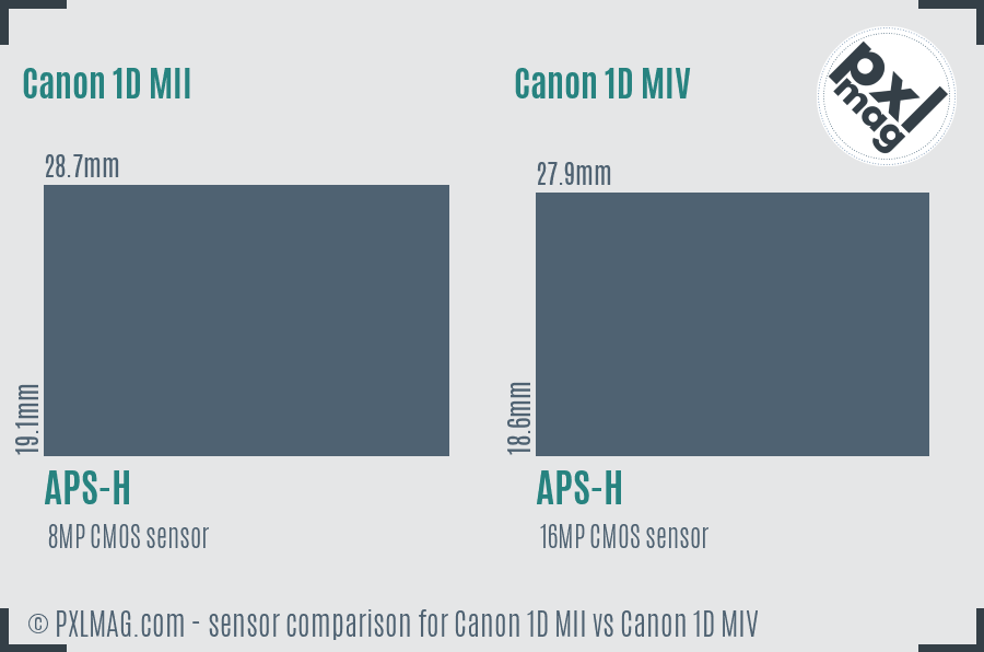 Canon 1D MII vs Canon 1D MIV sensor size comparison
