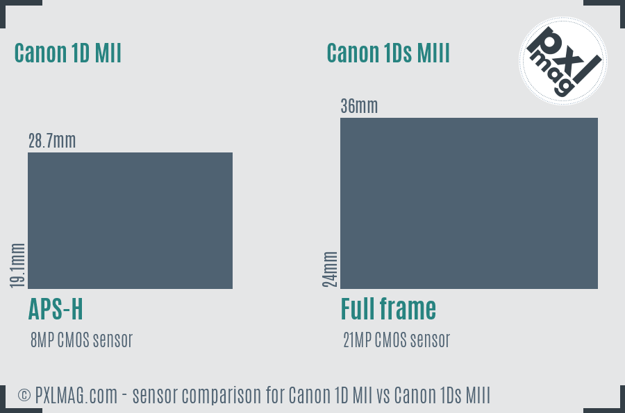 Canon 1D MII vs Canon 1Ds MIII sensor size comparison