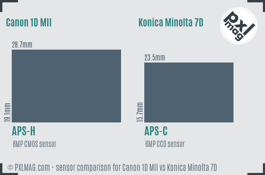 Canon 1D MII vs Konica Minolta 7D sensor size comparison