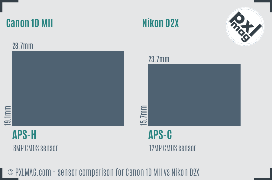 Canon 1D MII vs Nikon D2X sensor size comparison