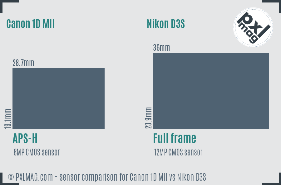 Canon 1D MII vs Nikon D3S sensor size comparison