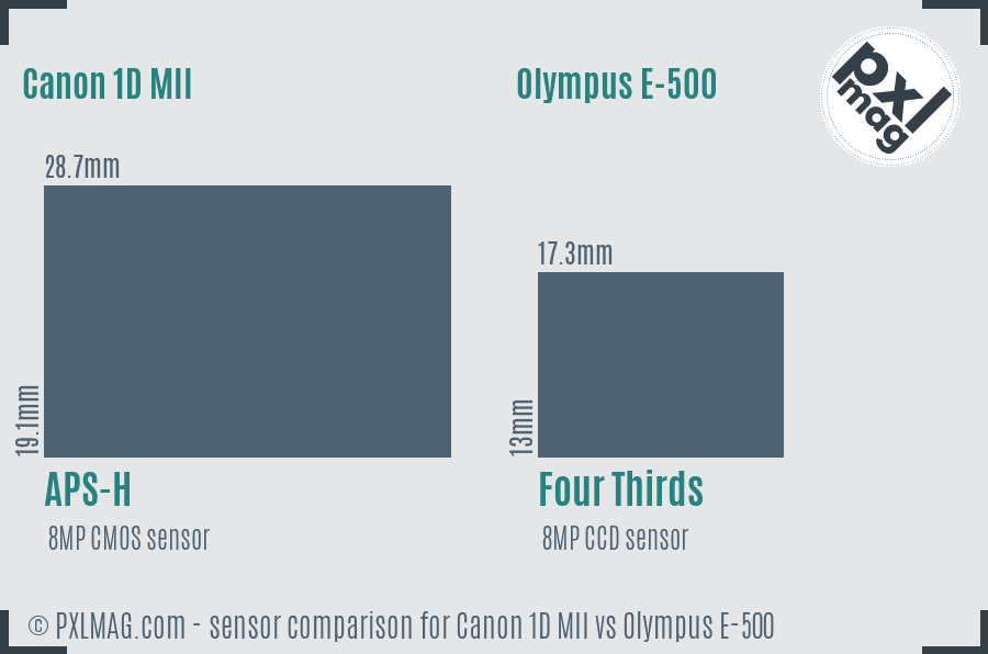 Canon 1D MII vs Olympus E-500 sensor size comparison