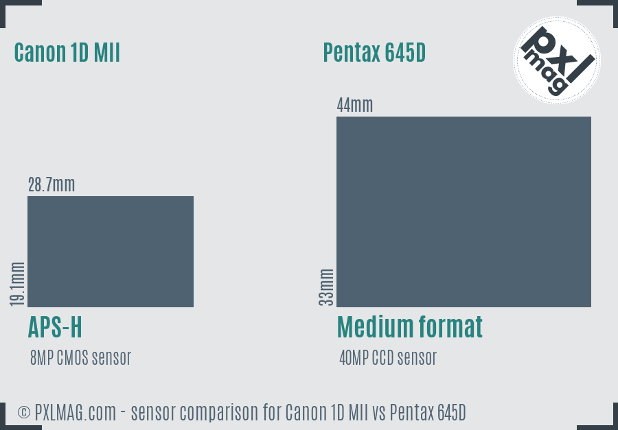 Canon 1D MII vs Pentax 645D sensor size comparison