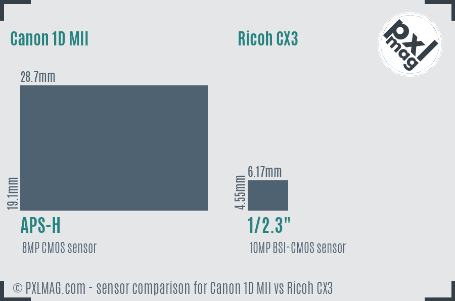 Canon 1D MII vs Ricoh CX3 sensor size comparison