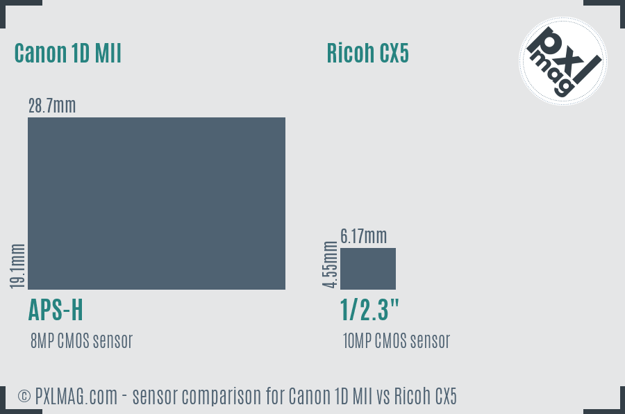 Canon 1D MII vs Ricoh CX5 sensor size comparison
