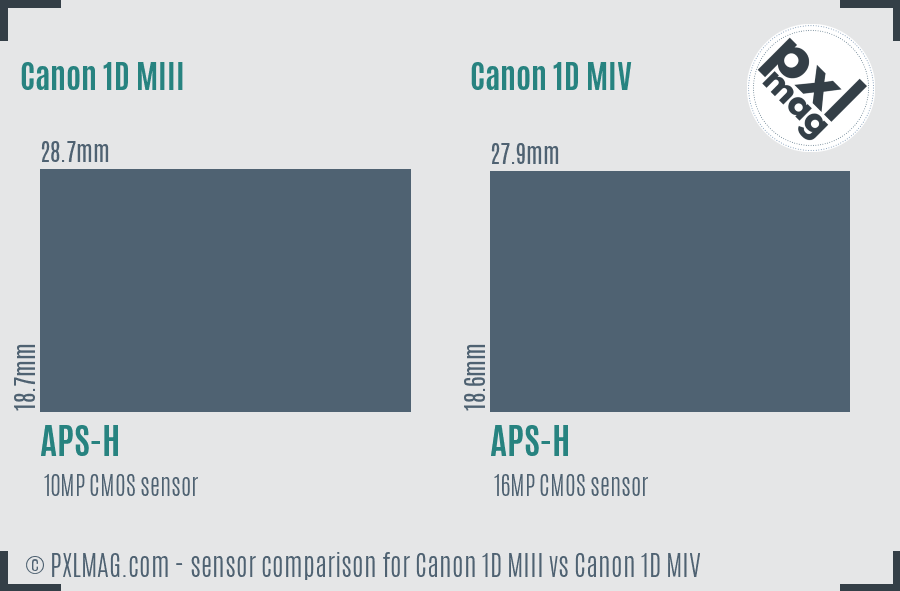 Canon 1D MIII vs Canon 1D MIV sensor size comparison